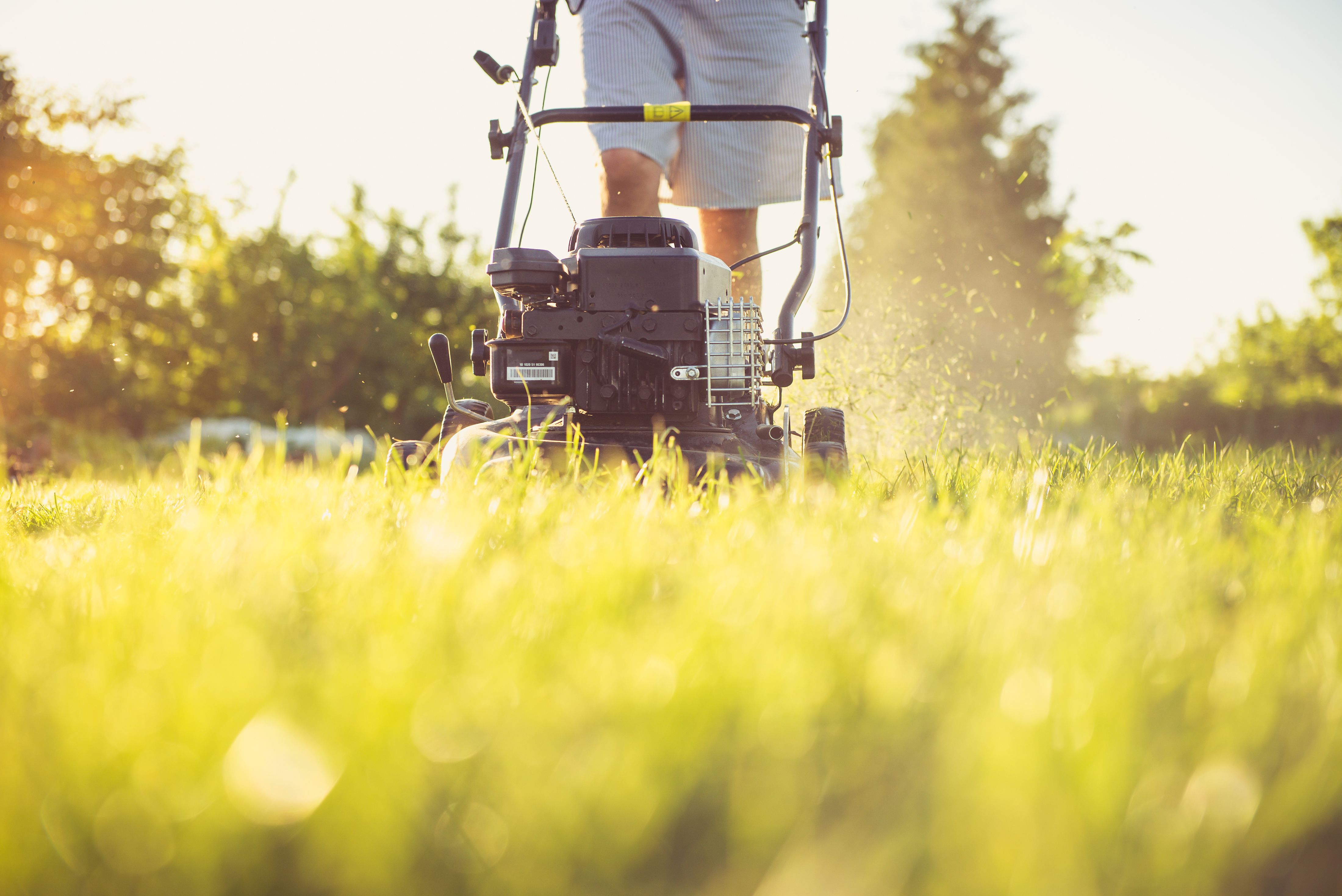 A Founders Lawn Co.-maintained lawn in the Franklin area