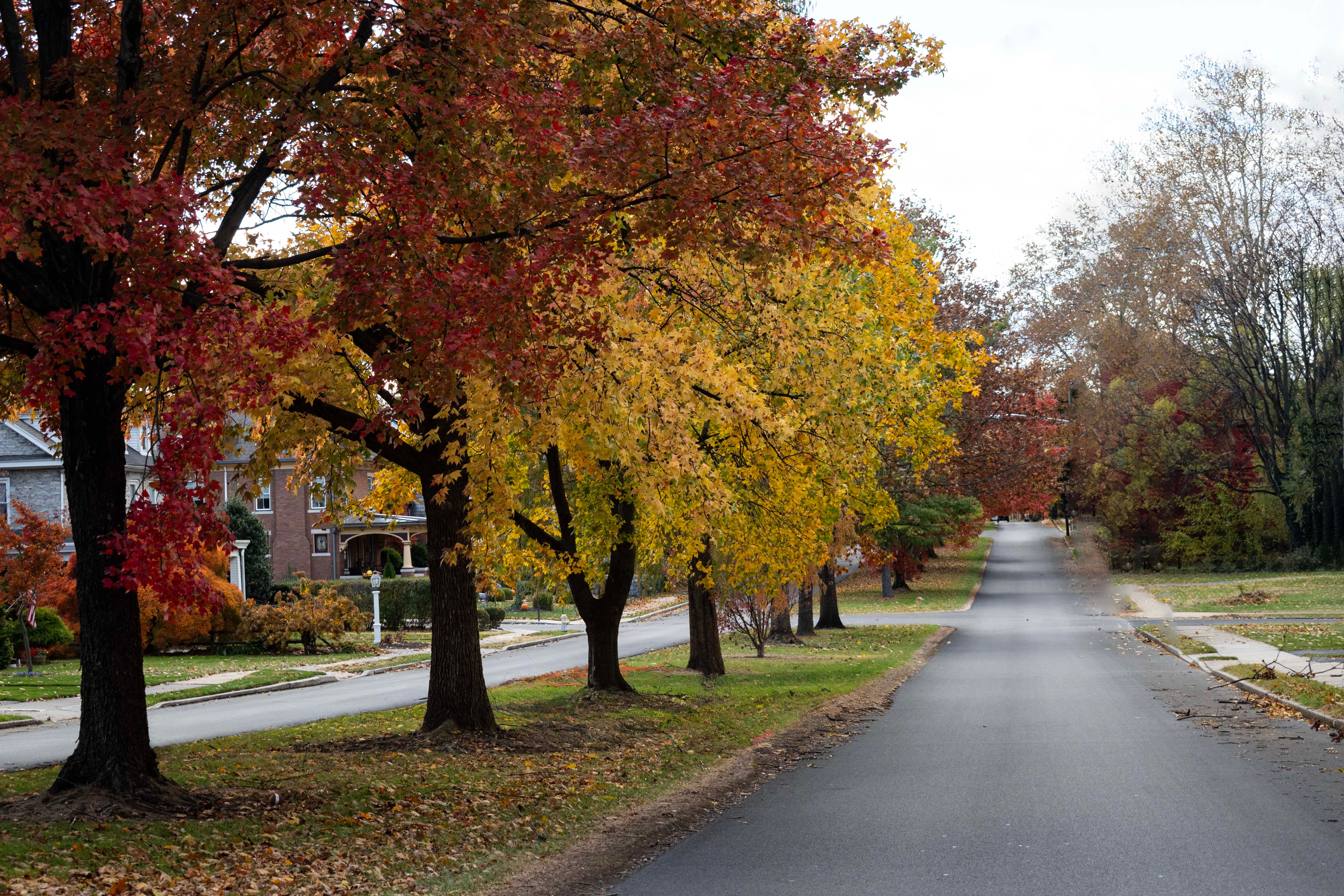 Brentwood, TN