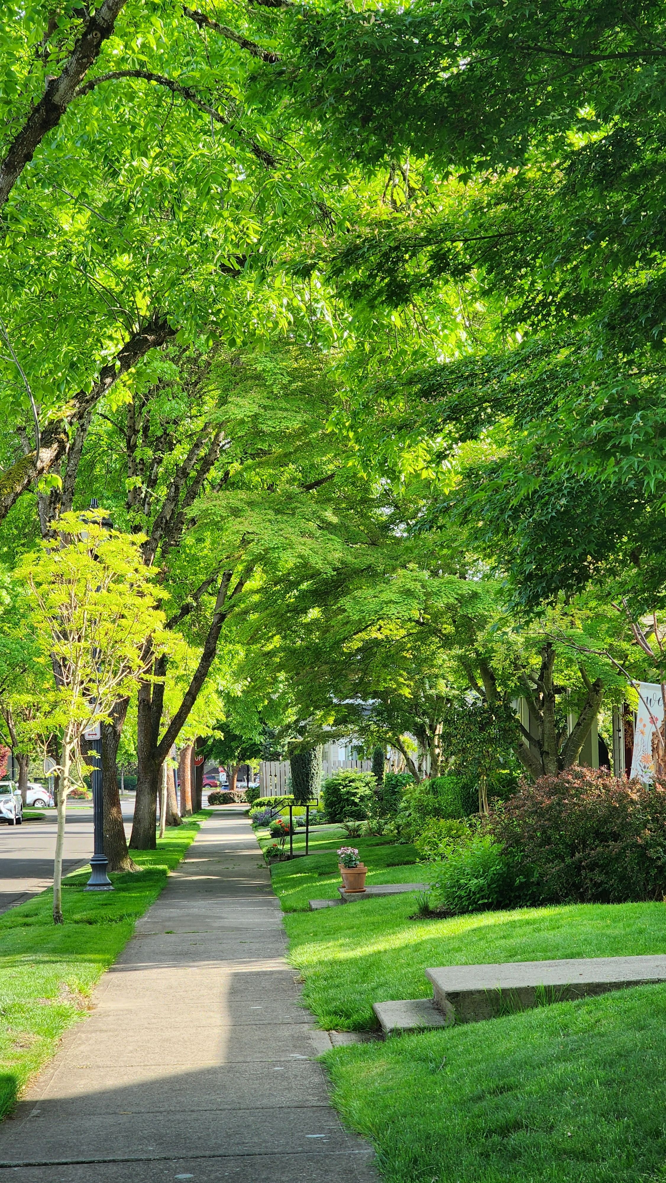 Westhaven