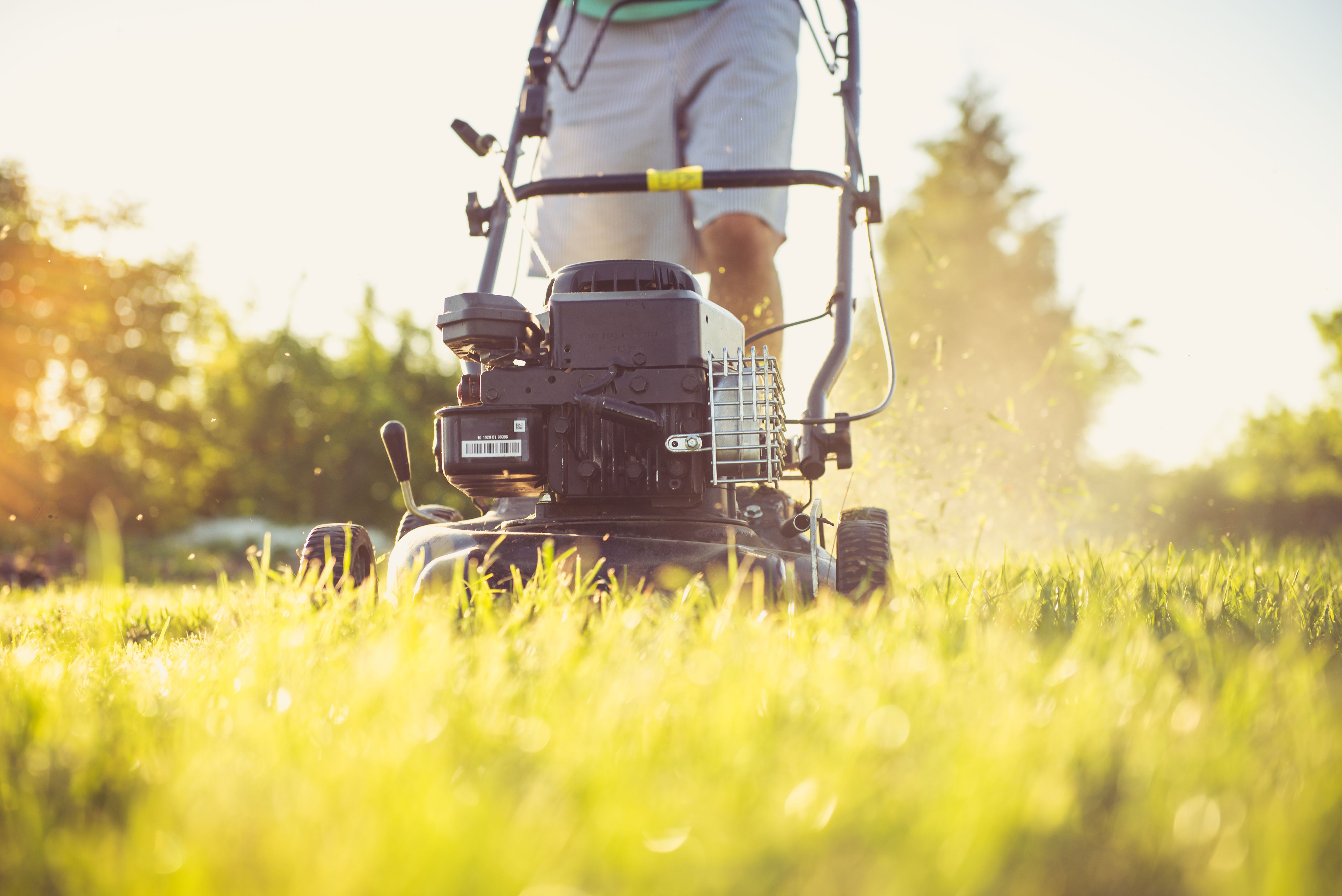 Founders Lawn Co. lawn transformation