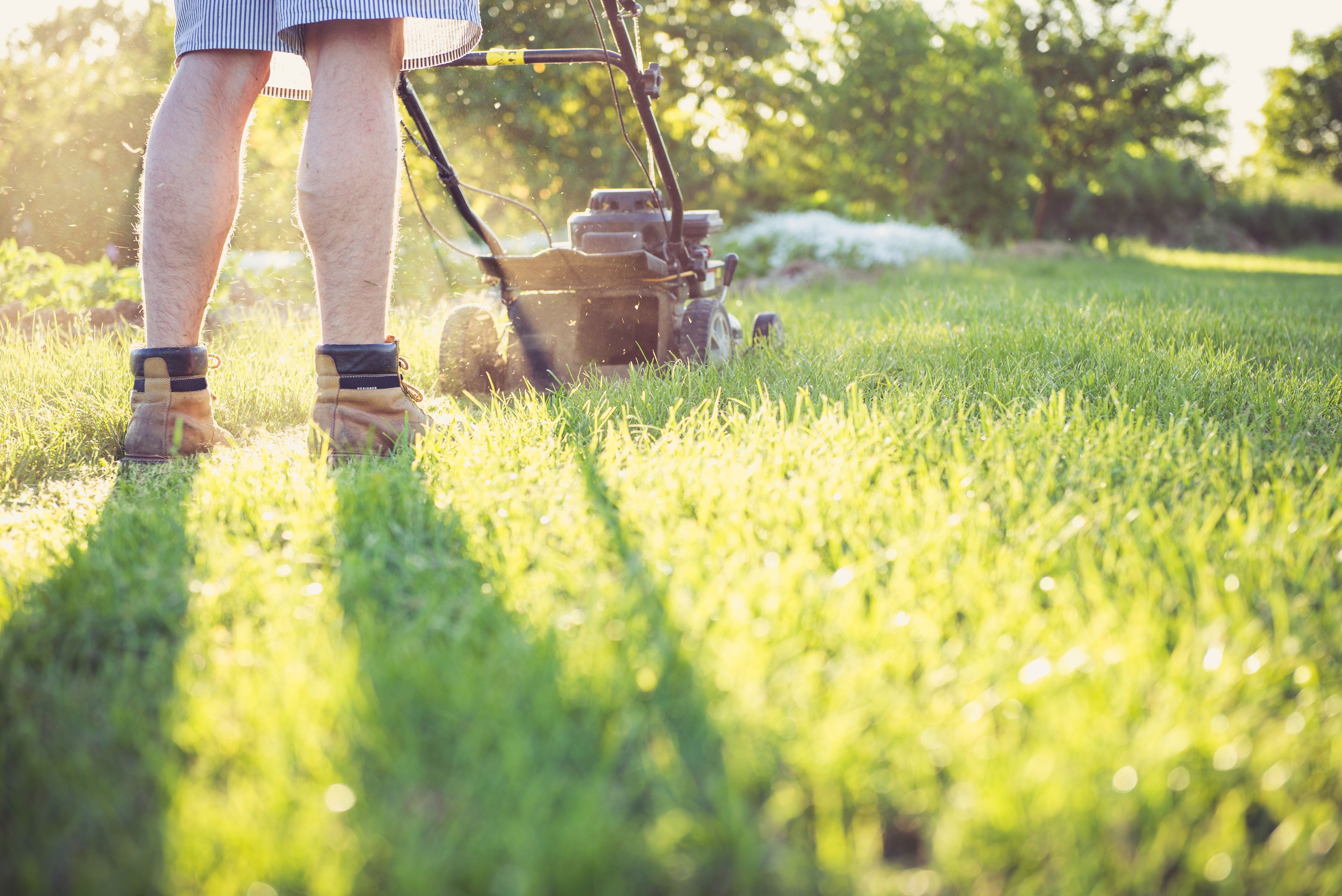 Founders Lawn Co. lawn transformation